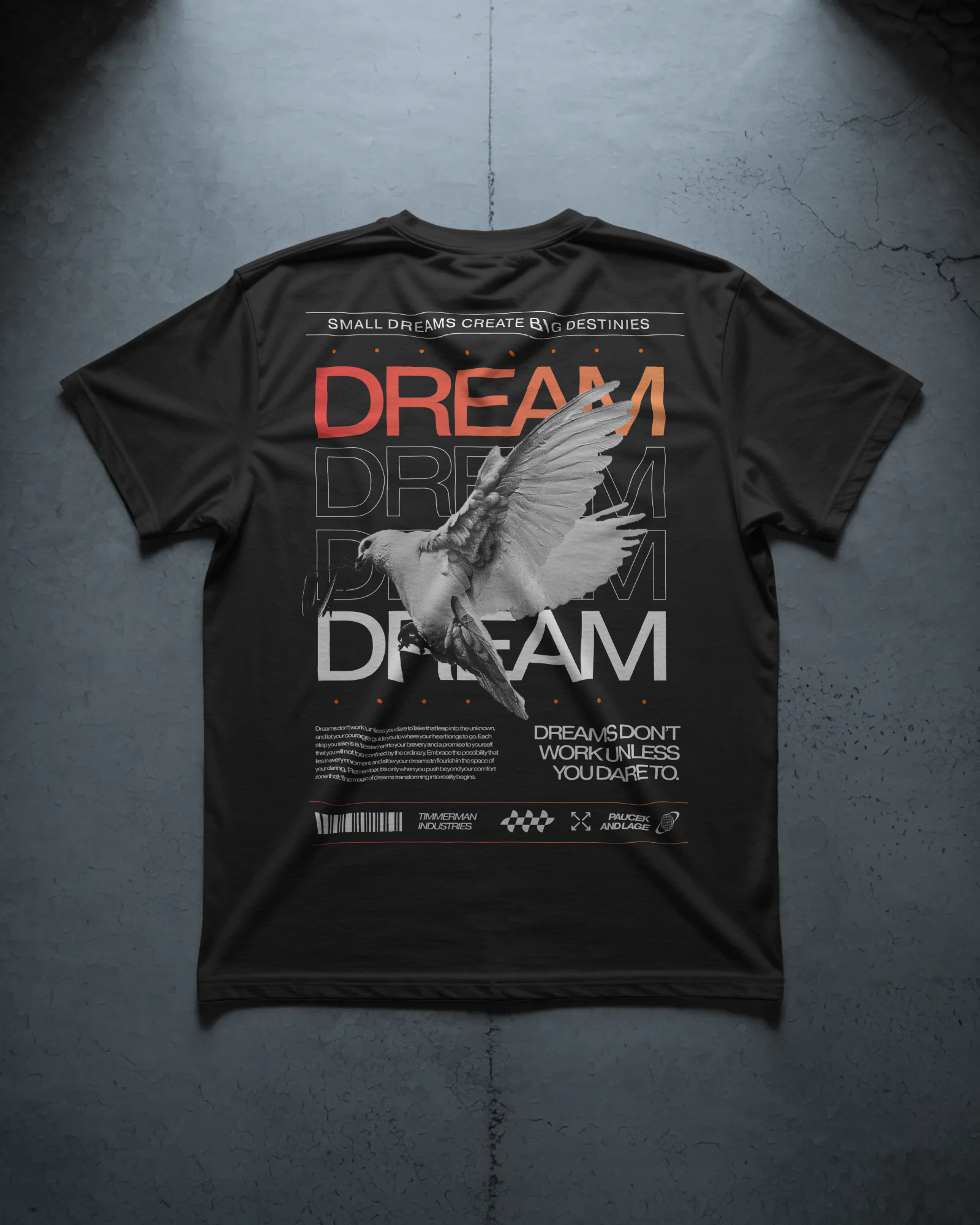 Dream Big Create Destinies